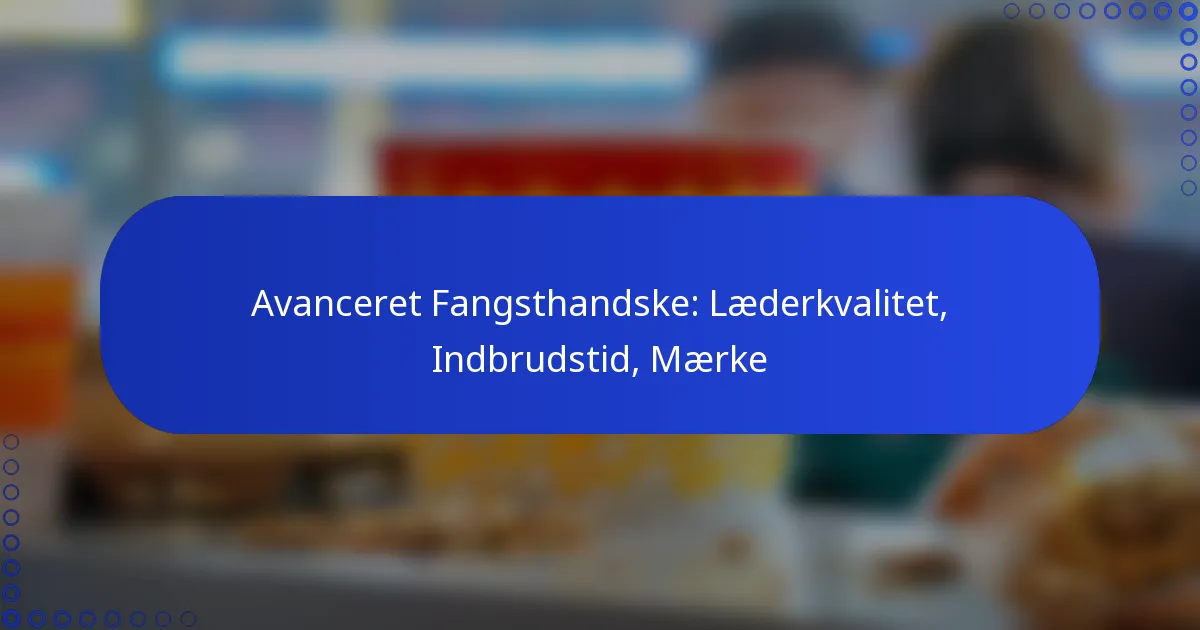Avanceret Fangsthandske: Læderkvalitet, Indbrudstid, Mærke
