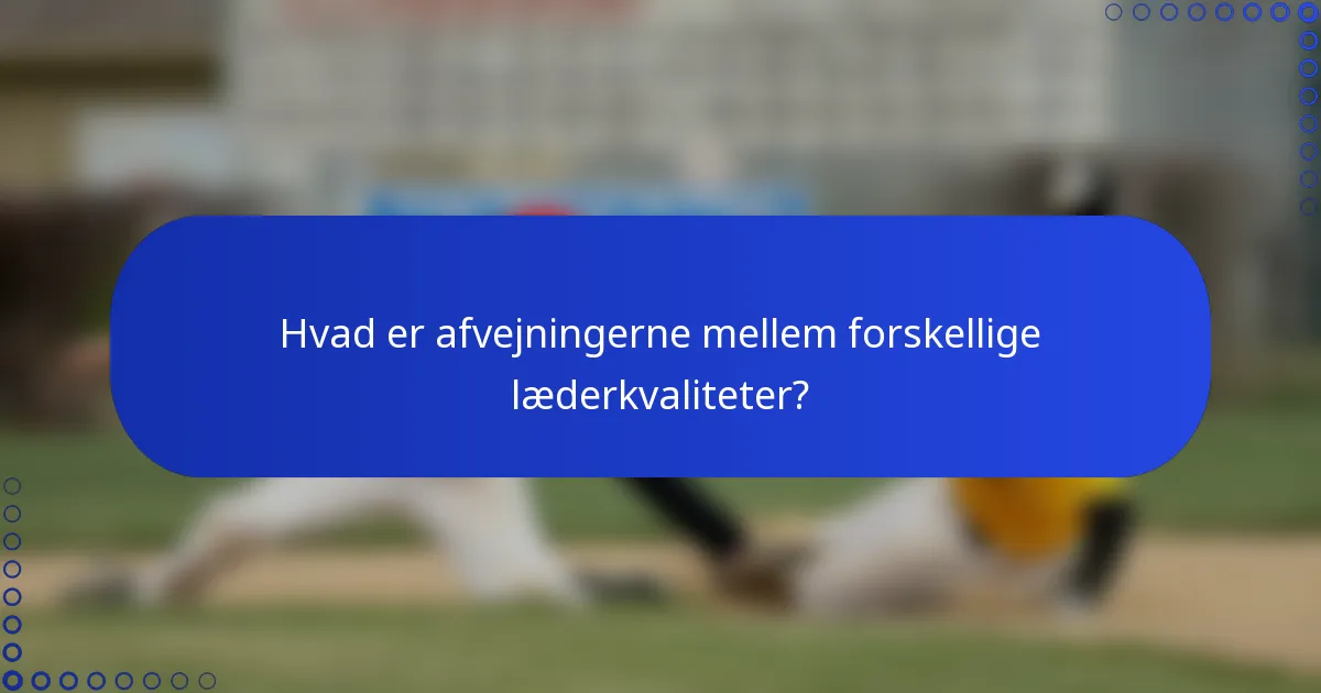 Hvad er afvejningerne mellem forskellige læderkvaliteter?