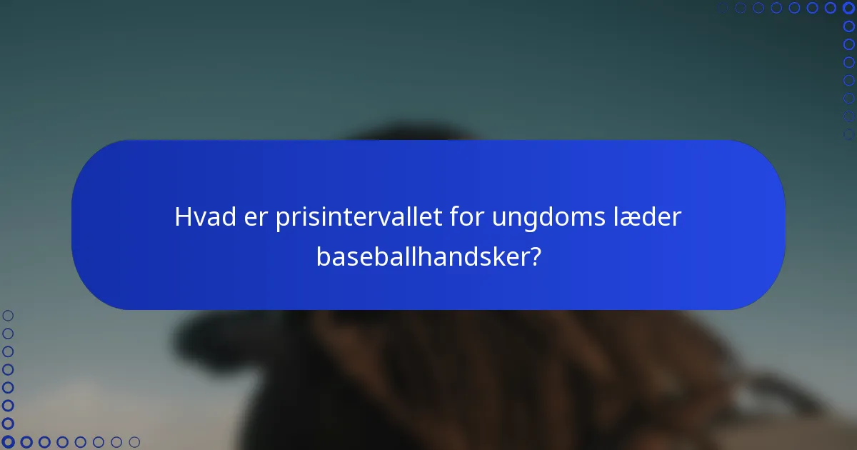 Hvad er prisintervallet for ungdoms læder baseballhandsker?