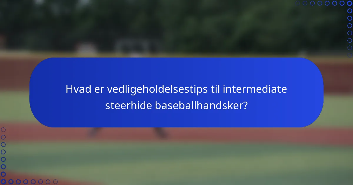 Hvad er vedligeholdelsestips til intermediate steerhide baseballhandsker?