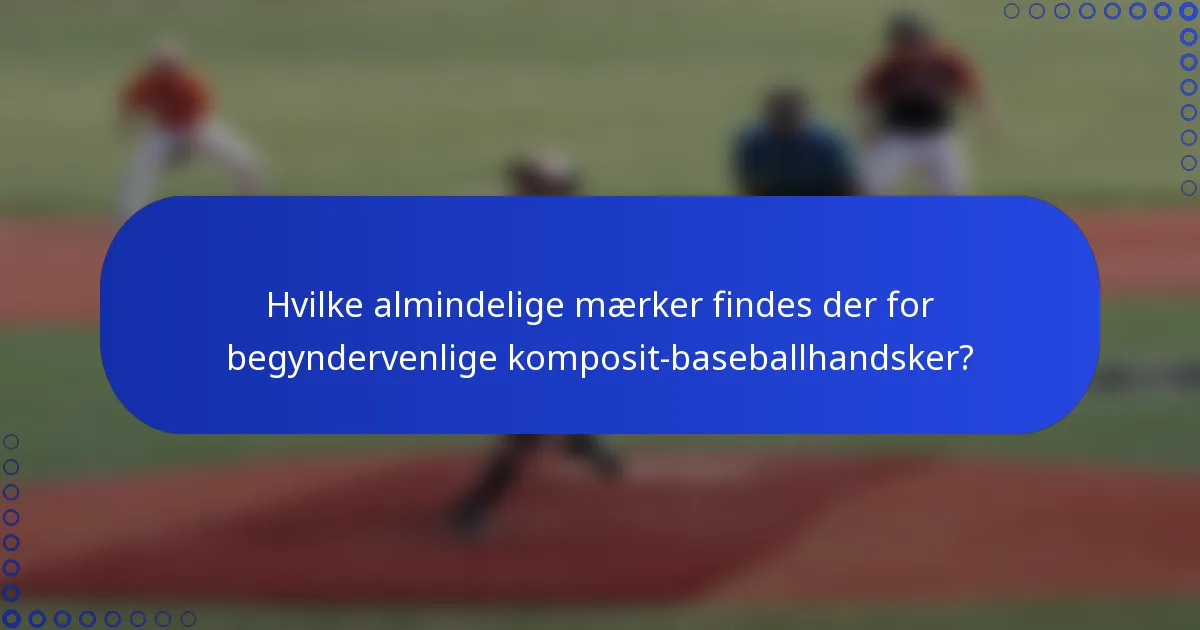 Hvilke almindelige mærker findes der for begyndervenlige komposit-baseballhandsker?