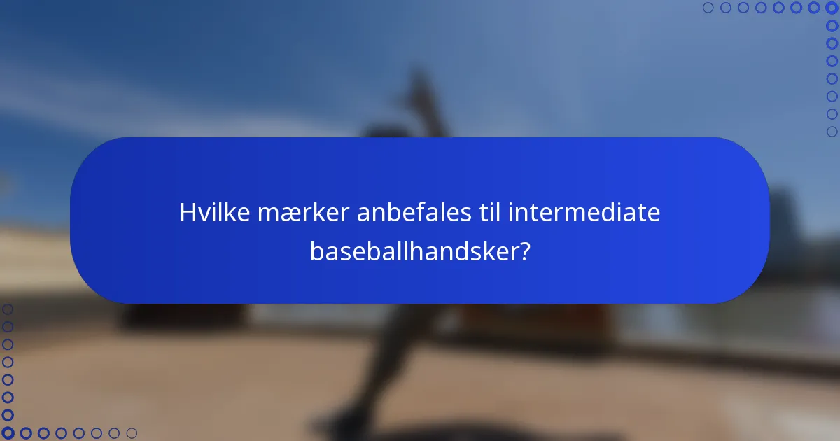 Hvilke mærker anbefales til intermediate baseballhandsker?