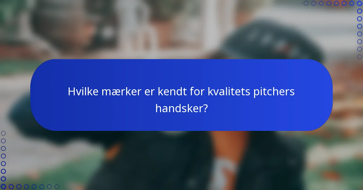 Hvilke mærker er kendt for kvalitets pitchers handsker?