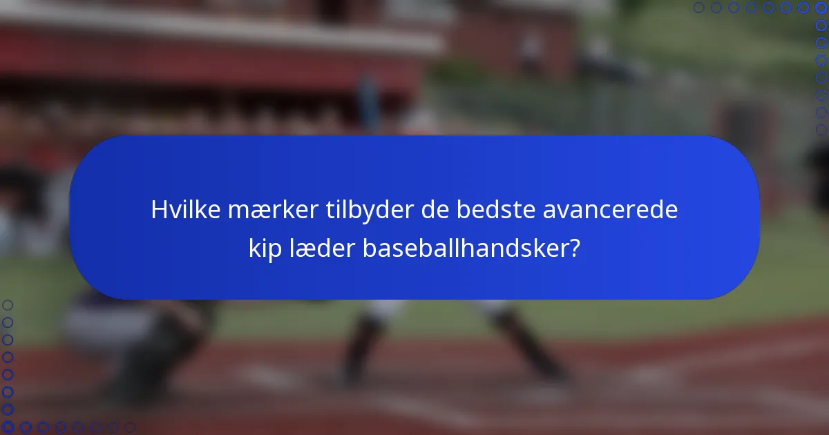 Hvilke mærker tilbyder de bedste avancerede kip læder baseballhandsker?