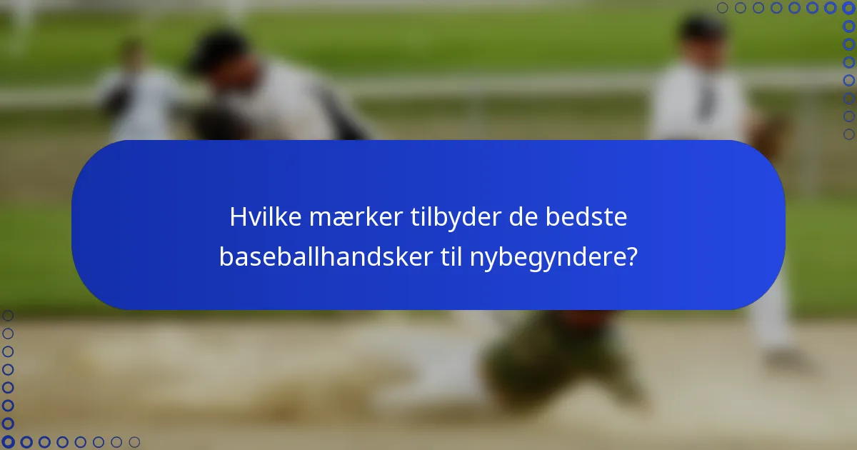 Hvilke mærker tilbyder de bedste baseballhandsker til nybegyndere?