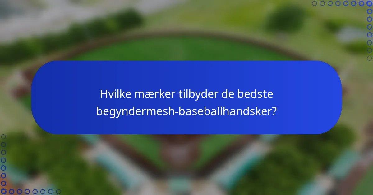 Hvilke mærker tilbyder de bedste begyndermesh-baseballhandsker?