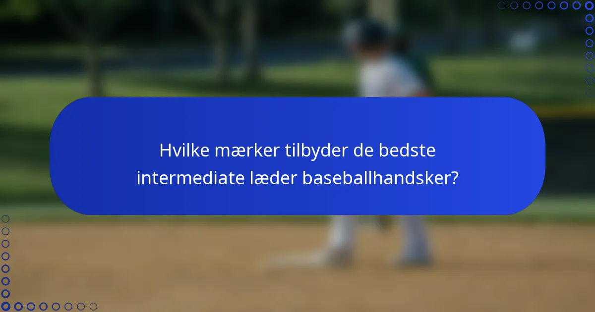 Hvilke mærker tilbyder de bedste intermediate læder baseballhandsker?