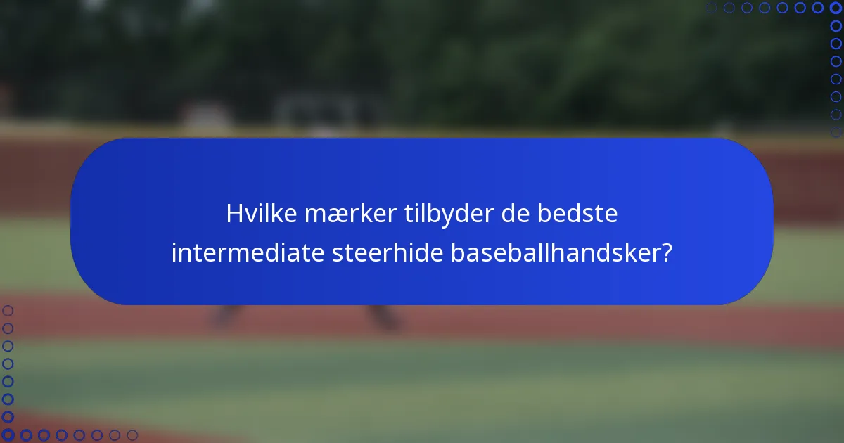 Hvilke mærker tilbyder de bedste intermediate steerhide baseballhandsker?