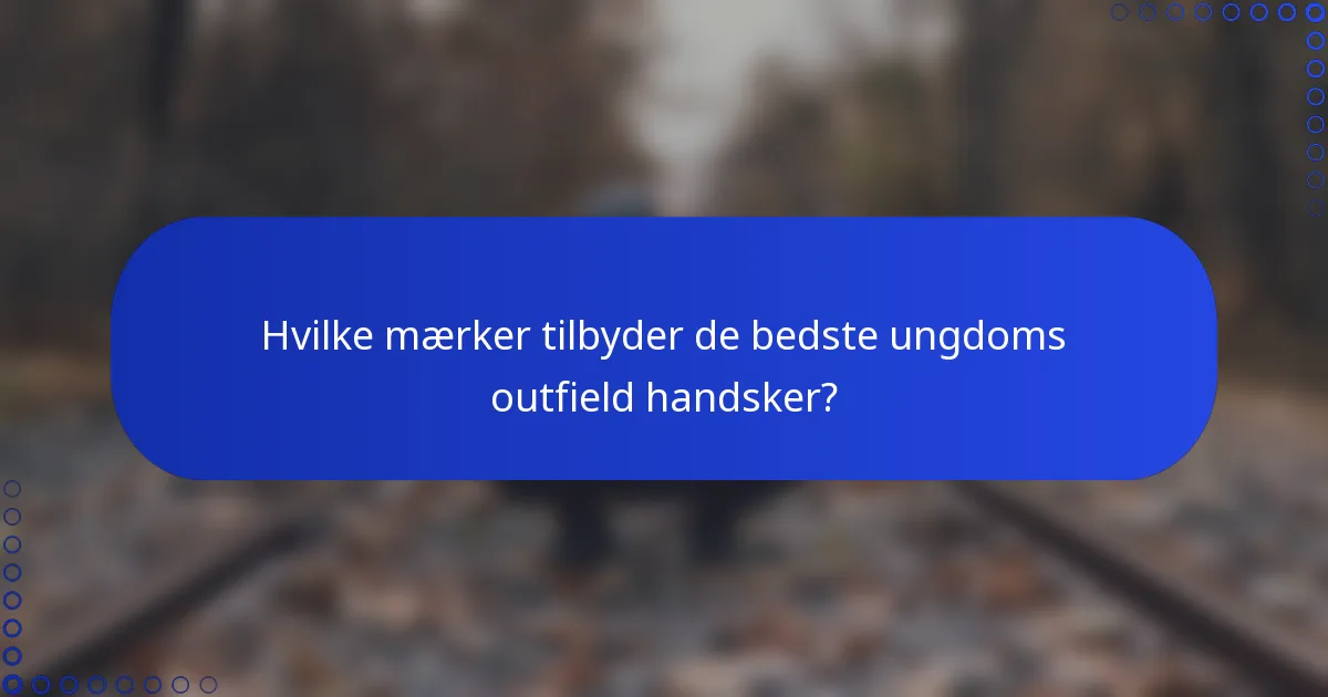 Hvilke mærker tilbyder de bedste ungdoms outfield handsker?