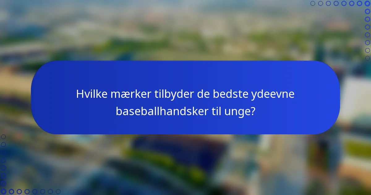 Hvilke mærker tilbyder de bedste ydeevne baseballhandsker til unge?