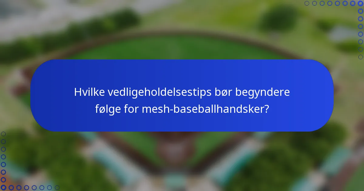 Hvilke vedligeholdelsestips bør begyndere følge for mesh-baseballhandsker?
